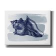 Brushed Midnight Blue Seashell  by Bluebird Barn, Canvas Wall Art For Sale