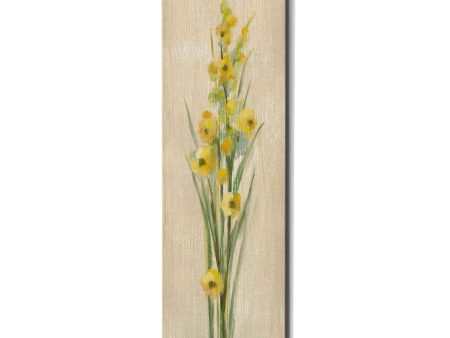 Farm Flower III  by Silvia Vassileva, Canvas Wall Art For Discount