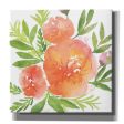 Peachy Floral I  by Bluebird Barn, Canvas Wall Art Supply