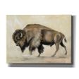 Bronze Buffalo  by Silvia Vassileva, Canvas Wall Art Fashion