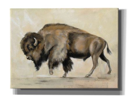 Bronze Buffalo  by Silvia Vassileva, Canvas Wall Art Fashion