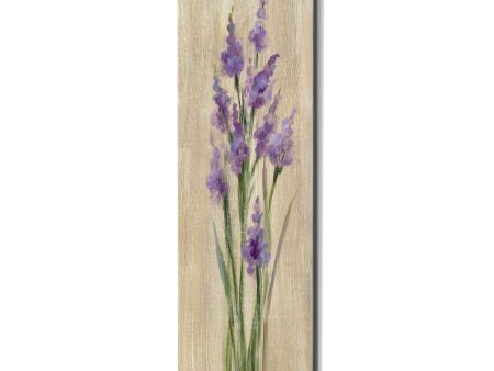 Farm Flower II  by Silvia Vassileva, Canvas Wall Art Cheap