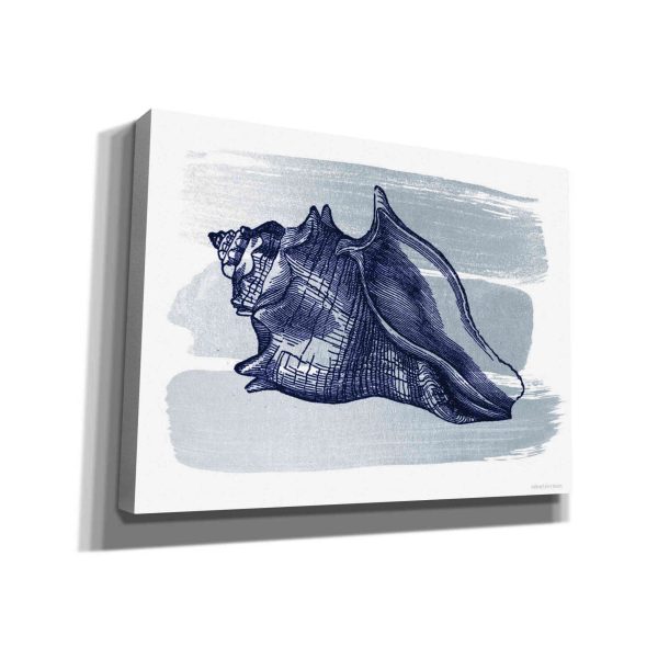 Brushed Midnight Blue Seashell  by Bluebird Barn, Canvas Wall Art For Sale