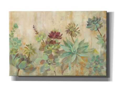 Succulent Garden  by Silvia Vassileva, Canvas Wall Art Hot on Sale