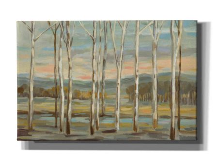 Silver Forest  by Silvia Vassileva, Canvas Wall Art Supply