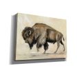 Bronze Buffalo  by Silvia Vassileva, Canvas Wall Art Fashion