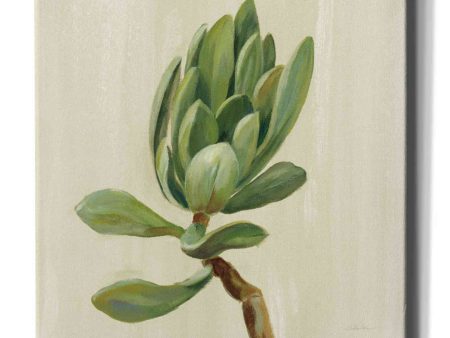 Front Yard Succulent III  by Silvia Vassileva, Canvas Wall Art Online Sale