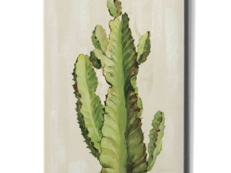 Front Yard Cactus II  by Silvia Vassileva, Canvas Wall Art For Cheap