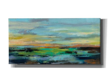 Delmar Sunset I  by Silvia Vassileva, Canvas Wall Art Hot on Sale