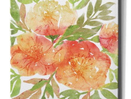 Peachy Floral III  by Bluebird Barn, Canvas Wall Art Supply