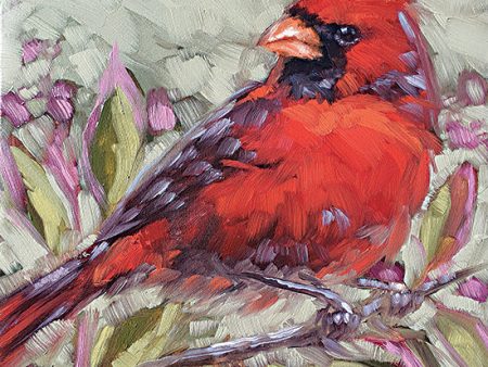 SGD150 - Cardinal in the Afternoon - 12x12 For Sale