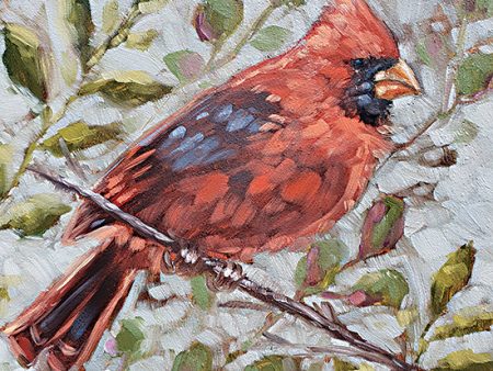 SGD149 - Cardinal in the Morning - 12x12 Online Hot Sale