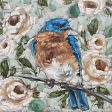 SGD137 - Rose Garden Bluebird - 12x12 Online