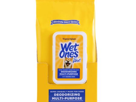 Wet Ones Deodorizing Wipe for Dogs - 100 ct pouch, 3 pc PDQ Cheap