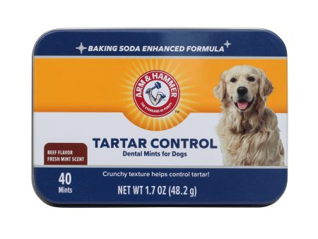 Arm & Hammer Advanced Care Tartar Control: Dental Mints For Dogs in Beef Flavor, 40 Count on Sale