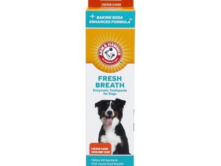 Arm & Hammer Fresh Breath Enzymatic Toothpaste for Dogs, Chicken Flavor Cheap