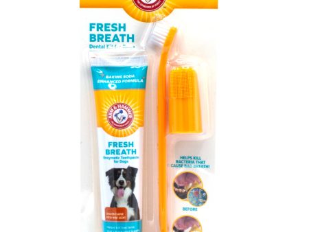 Arm & Hammer Fresh Breath Dental Kit for Dogs, Chicken on Sale