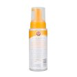 Arm & Hammer Ultra Fresh No-Rinse Deodorizing Foam, 8 oz Online