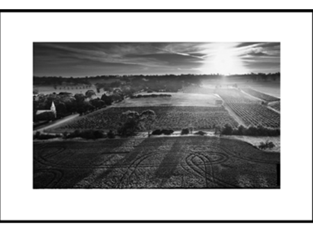 Henschke Hill of Grace Vineyard, Aerial Photograph For Sale