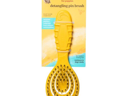 Burt’s Bees Recycled Plastics from Coastal Communities Detangling Pin Brush Discount