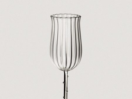 Tulip Wine Glass, Clear (Set of 4) For Cheap