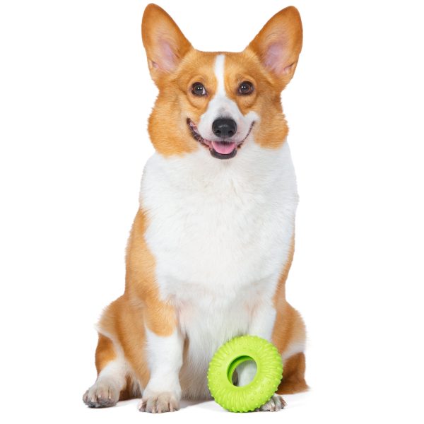 Arm & Hammer: Scrubbies Puppy Chew Ring Dental Chew Toy Online