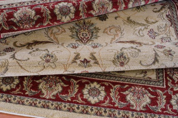 Swallowtail Rust and Cream Oriental Area Rug Online now