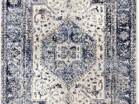 Evoke Navy Ivory Vintage Area Rug For Discount