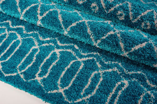 Shaggy Turquoise Ivory Vancouver Area Rug Online now