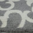 Nanaimo Shaggy Light Grey Micro-Polyester Rug For Sale