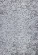 Concord Champagne Silver Gray Area Rug Online Sale