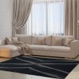 Vancouver Shaggy Micro-Polyester Fiber  Area Rug Discount