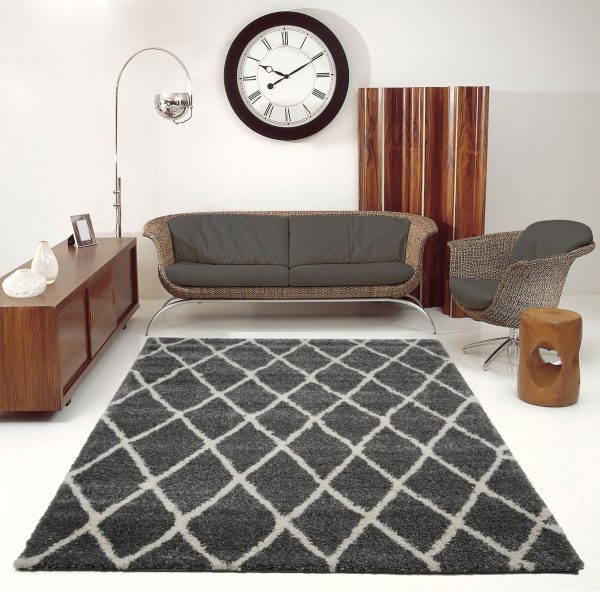 Toronto Trellis Dark Grey Ivory Area Rug Online