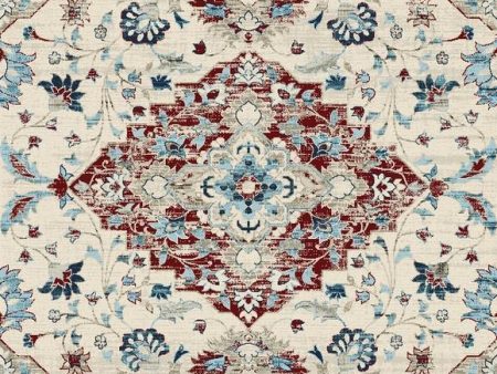 Victoria Traditional Distressed Style Area Rug Online now