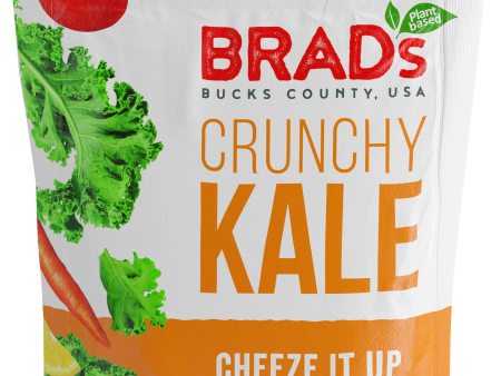 Brads Raw Crunchy Kale Cheeze It Up Og 2 Oz Online now