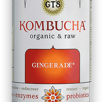 Gt Enlightened Kombucha Gingerade Og 16 Oz Hot on Sale