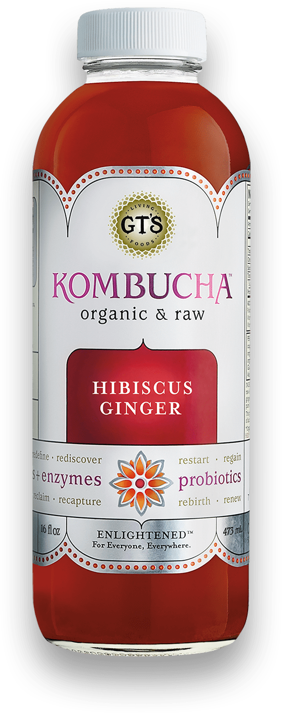 Gts Enlightened Hibiscus Gngr Kmbcha Og 48 Oz Online