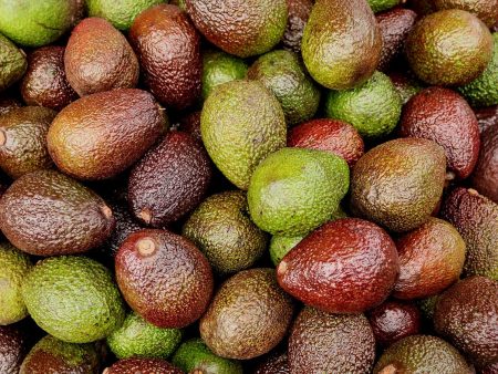 Org Small Hass Avocado (each) Online Hot Sale