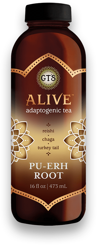 Gts Alive Adaptogenic Tea Pu-erh Rt Ogc 16 Oz Online Sale